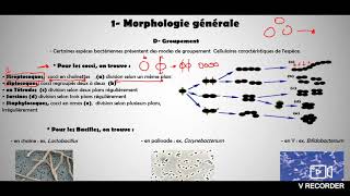 Microbiolgie générale _ cour 3