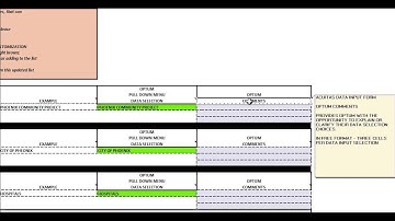 ACUITAS DATA INPUT FORM TUTORIAL GENERAL SECTION 3 DATA EXAMPLES AND CUSTOMIZATION