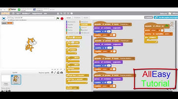 tutorial con Scratch 6# Le variabili.