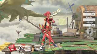 Pyra And Mythra Exaggerated Jiggle Physics