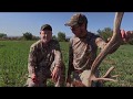 Step by step instructional on breaking down an elk in the field - Fred Eichler