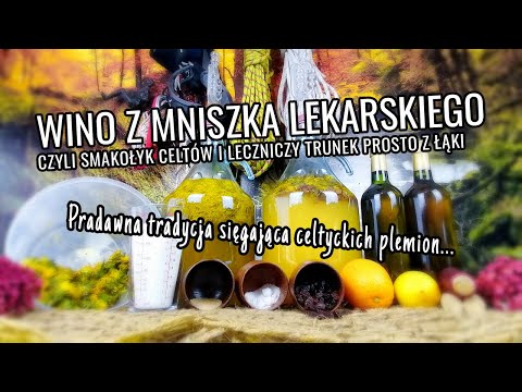 Wideo: Sekret Popularności Książki „Wino Z Mniszka Lekarskiego”