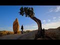 Landscape Photography in Joshua Tree National Park | Fujifilm Vlog