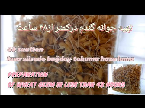 تصویری: 3 روش تهیه عصاره وانیل