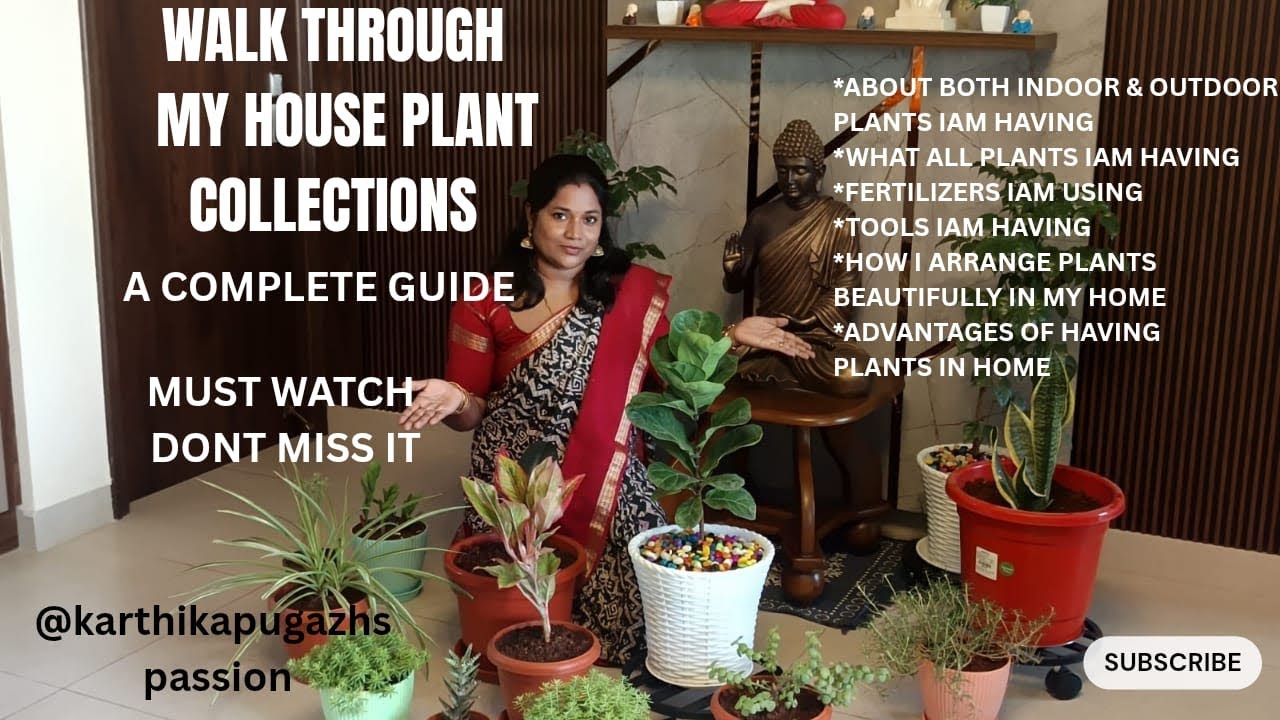 என் வீட்டு செடி கொடிகள் ஒரு பார்வை (WALKTHROUGH MY HOUSE PLANT