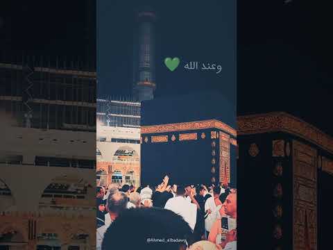 الإمام الشافعي ولرب نازلة يضيق بها الفتى زرعا