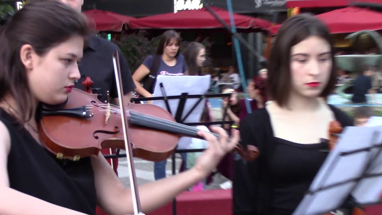 Kamerni gudački orkestar „Feniks”