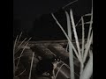 Lightning Cat 2020 09 11 19 33