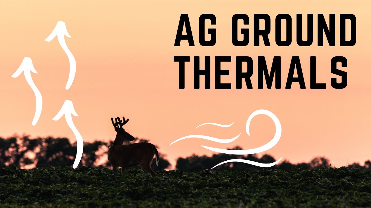 Understanding Thermals In AG GROUND For Deer Hunting YouTube understanding-thermals-in-ag-ground-for-deer-hunting-youtube