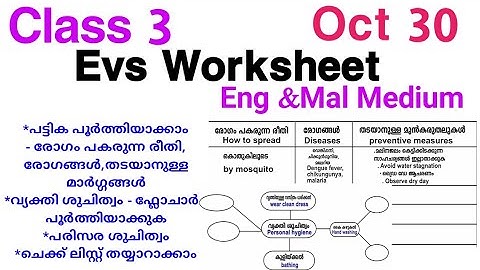Class 3 Evs Worksheet Oct 30/Std 3 Evs Worksheet 30/10/21/3 Class evs worksheet/victers class 3