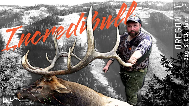 Incredibull | Oregon Big 3 Elk Tag
