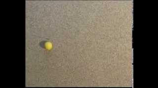 Bounce Test - Stop Motion Animation