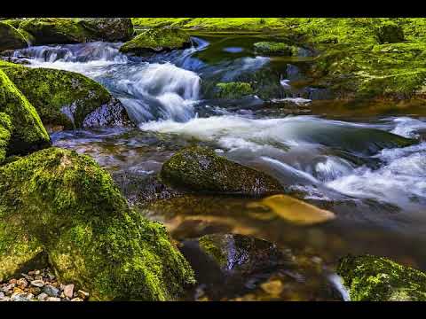 سورة غافر للشيخ عبد الودود حنيف Surah Ghafer For Sheikh Abdul Wadud Hanif 