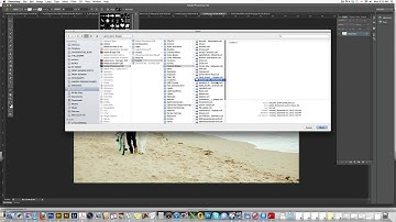 How To Use and Install Custom Shapes in Photoshop