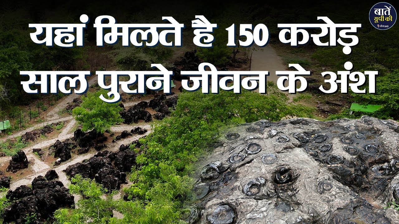 दुनिया का सबसे बड़ा फासिल्स पार्क | Salkhan Fossils Park | Fossils | जीवाश्म