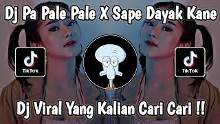 DJ PA PALE PALE || SAPE DAYAK KANE VIRAL TIKTOK (ANAK BORNEO) TERBARU 2023