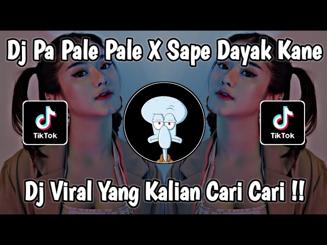 DJ PA PALE PALE || SAPE DAYAK KANE VIRAL TIKTOK (ANAK BORNEO) TERBARU 2023 class=