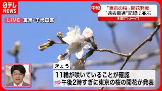 【東京の桜】全国でトップ  “最も早い開花”なぜ？  靖国神社から中継