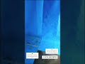 Caixa predial finalizada na SKR - São Paulo. Utilizando nossa Geomembrana PVC 0,9mm
