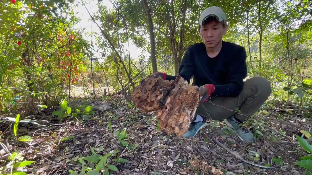 #5 【五風縁】ほっと一息できる場所をつくります。どんべぇは間違いないね。