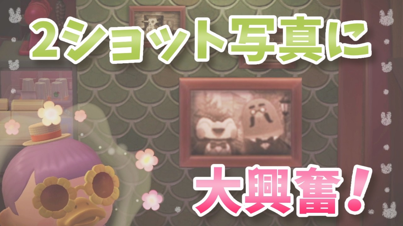 【あつ森】ハトの巣を満喫する腐女子(音質×)