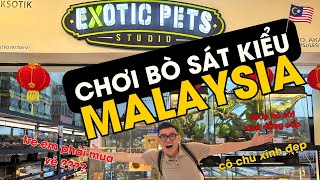 Tham Quan cửa hàng Bò Sát 'MỊN' nhất Malay. Malaysia Exotic Pet Studio |Thèm Hoang Dã Malay tập cuối