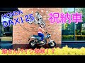 【新型ダックス125】我が家にダックスがやって来た❣️ ST125 DAX ㊗️納車【DAX125】【ST125】