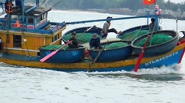 🔴 Sáng Sớm Ghe Đánh Lưới Thúng Về Cảng Lagi Nhộn Nhịp