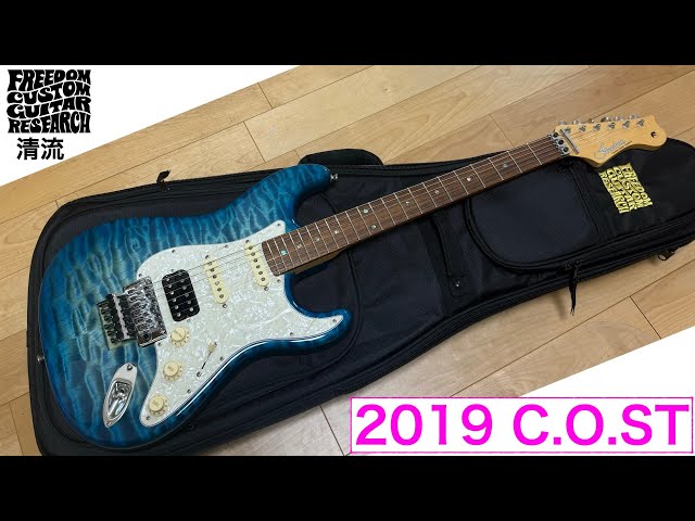 【Freedom】RRS 希少カラー FREEDOM CUSTOM GUITAR RESEARCH C.S. Retro Series ST Lake Placid