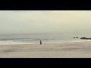 Bright Eyes - Take It Easy (Love Nothing)