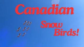 Canadian Snowbirds Air Show St Mary's River