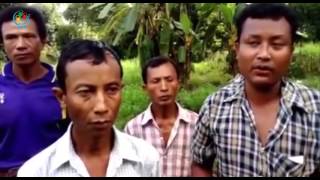 DVB TV - ရွေးကောက်ပွဲနှင့်လူထုသတင်း အစီအစဉ်