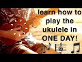 Learn How To Play The Ukulele In One Day!