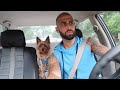 When my dog hears the song Kiki ___ #doyouloveme #kiki