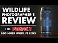 Canon RF 100-400 f/5.6-8 for Wildlife Photography - REVIEW (The PERFECT Beginner Wildlife Lens)