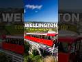 Top 10 Things to do in Wellington, New Zealand #shorts #travel #newzealand #wellington #vacation