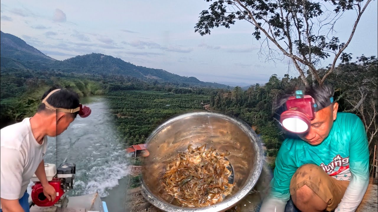 ຢາມມອງສ້ອນກຸ້ງຕາມສາຍເຊກອກ//ยามมองส้อนกุ้งตามลำน้ำเชกอก Dong Una