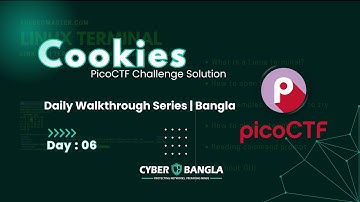 PicoCTF Cookies Challenge Solution | Daily Walkthrough Series (Bangla)