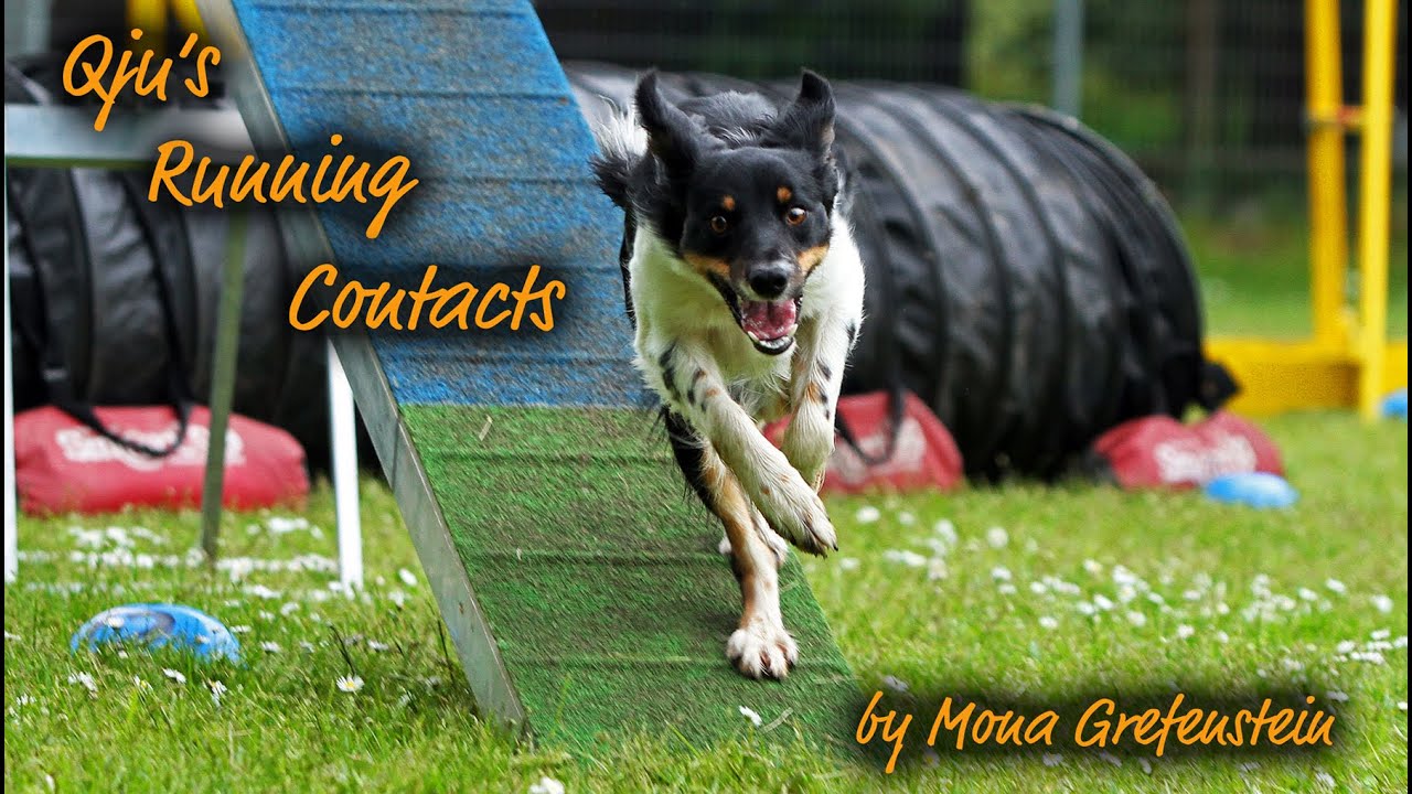 Qju's Running Contacts by Mona Grefenstein