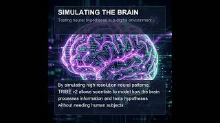 Meta's TRIBE v2: A Digital Twin of the Human Brain