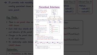 Hierarchical inheritance #python  #shorts  #inheritance