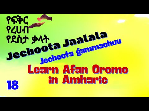 ክፍል1 ስሜቶቻችንን በአፋን ኦሮሞ እንዴት እንገልፃለን How To Express Feelings In Afan Oromo Jaalala Afaan Oromoo