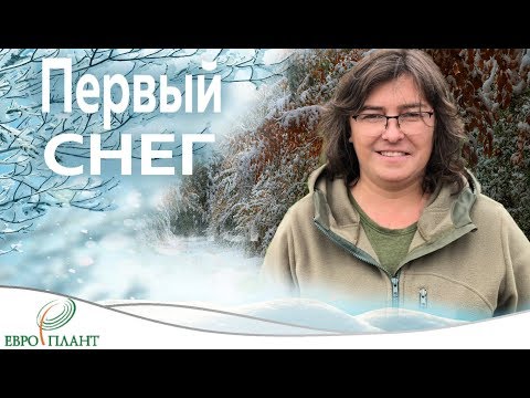 Вопрос: Какие растения следует укрывать весной, если снег?