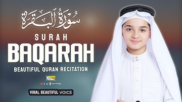 Surah Al Baqarah Full (سورة البقره) Abdullah Ahmed Shaaban | Most Heart Touching | Noor-e-Furqan