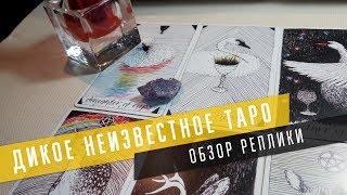 Дикое неизвестное таро обзор колоды