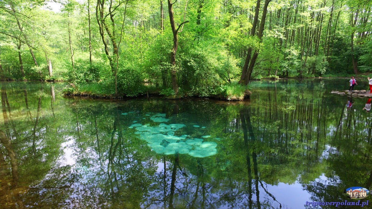 Tomaszów Mazowiecki (4K/UHD)