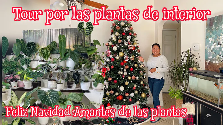 ASI CRECEN BIEN BONITAS LAS PLANTAS DE INTERIOR y ...