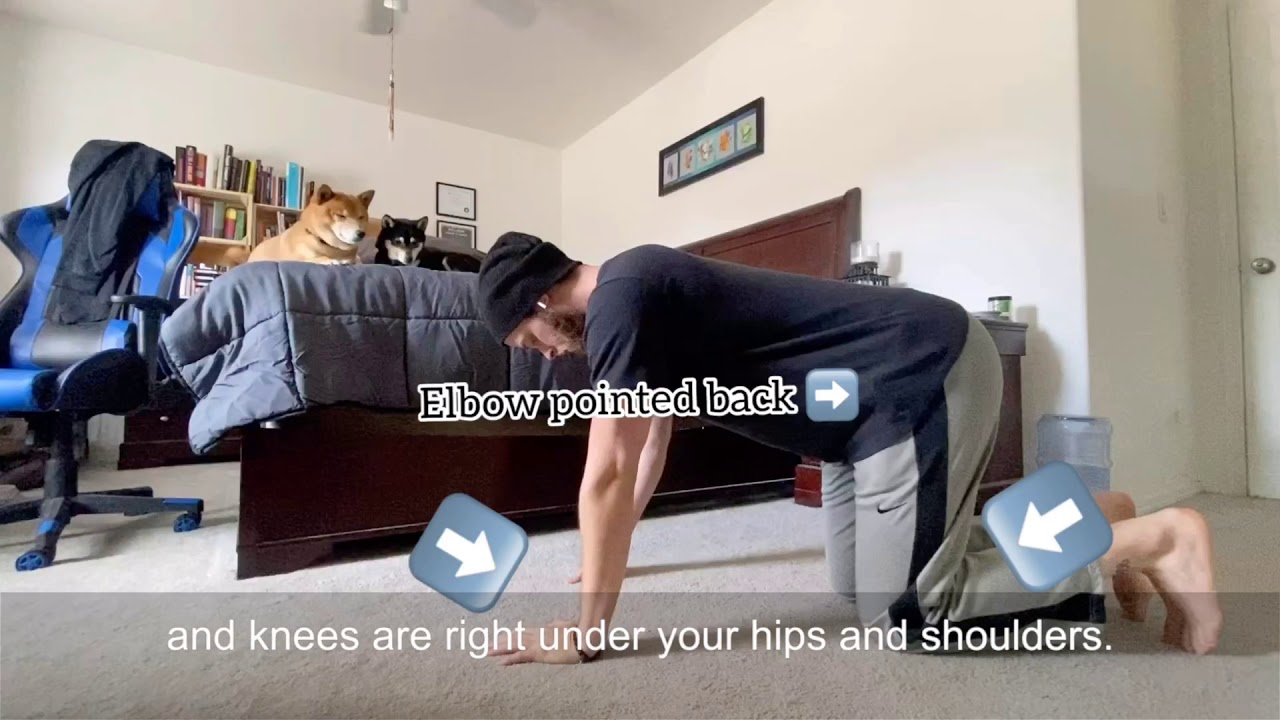 Horse Stance Dynamic (Zone 3) YouTube