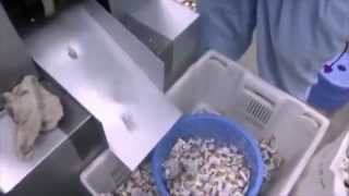 Candy flow wrapping machine - How Does candy flow wrapping machine work