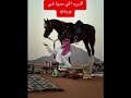 الديره الي حبها في وريدي 